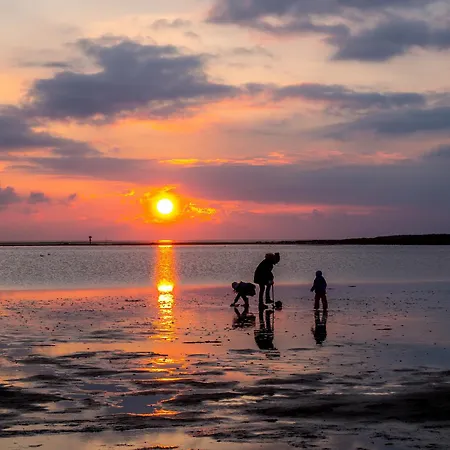 Vogelsand 02 * דורום נויפלד