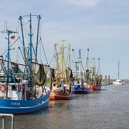 Vogelsand 02 דורום נויפלד