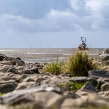 בית נופש Vogelsand 02 *