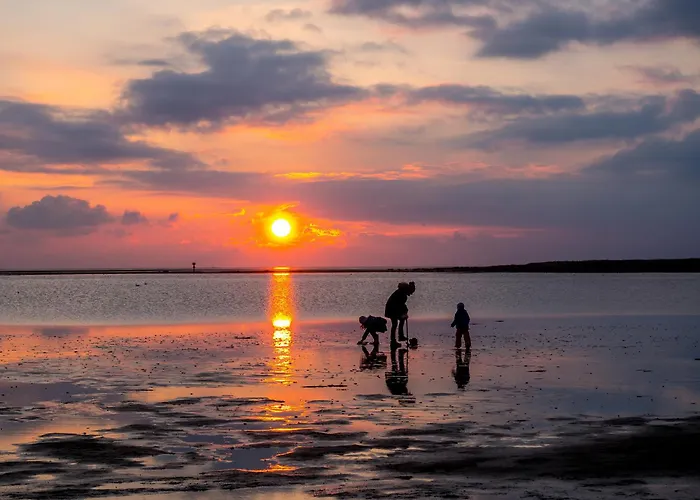 Vogelsand 02 * Дорум-Нойфельд