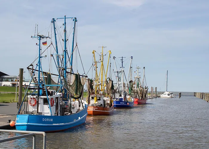 Vogelsand 02 Дорум-Нойфельд