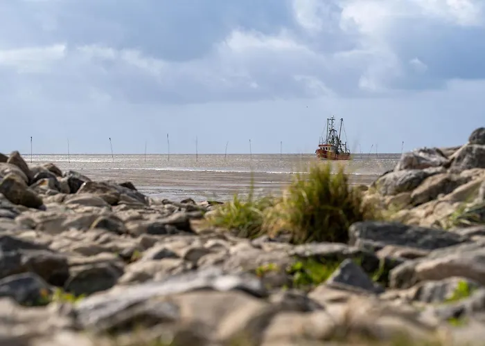 Дом отдыха Vogelsand 02 *